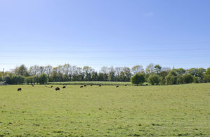 Photo 6- click for photo gallery